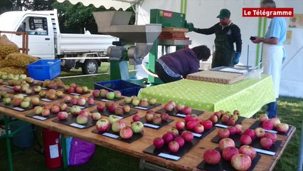 Mellac (29). Fête de l'automne au manoir de Kernault ce dimanche