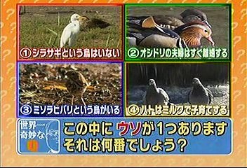 [2000年代バラエティ傑作シリーズ] 世界一奇妙なオタククイズ（2008年1月16日 ＯＡ）