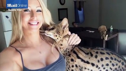 Wild cat called Mom a beautiful model.
