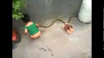Indian Funny Videos 2016 | Best Whatsapp Funny Ever |   Kid play With Snake   2015
