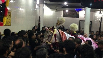 9 Muharram Zuljana 2016 (1438)