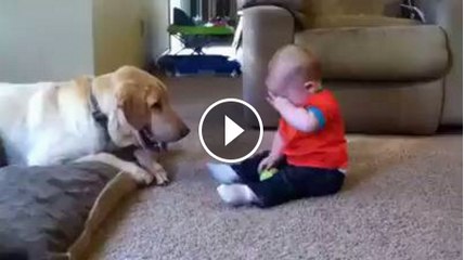 Dog play with baby but baby is crying