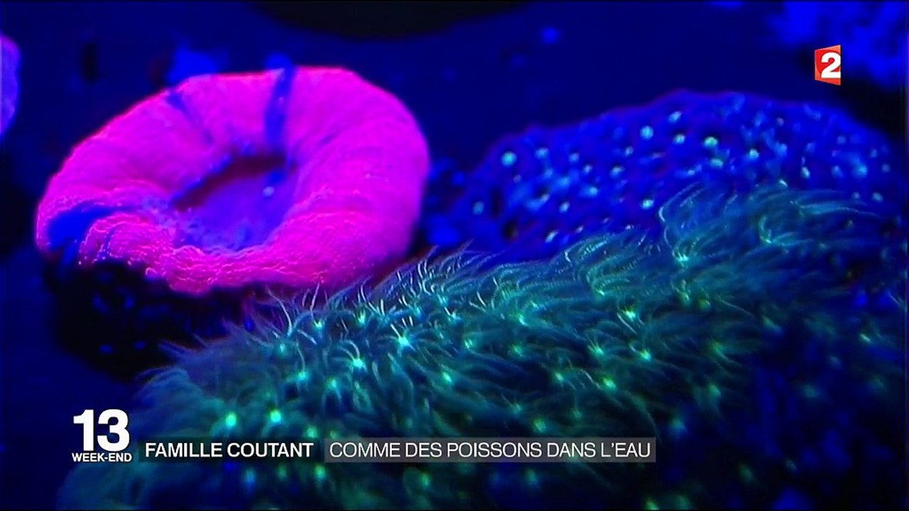 Affaire de famille : comme des poissons dans l'eau