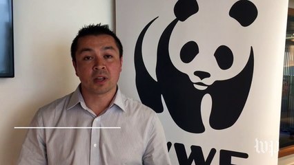 Scotland's 'terrible weather' is a boon for renewable energy