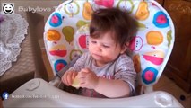 Babies Eating Lemons for the First Time Compilation 2016 | (Funny Baby Videos)
