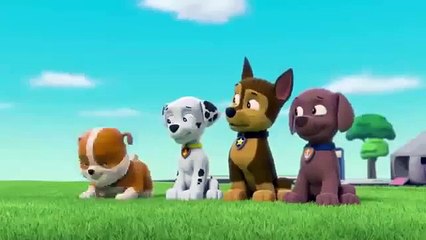 Paw patrol  Best trailer funny | Funny v ideos clips | Funny Videos | Must Watch & Most Popular