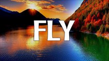 Martin Garrix ft. Justin Bieber - Fly (NEW SONG 2016)