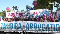 Manif pour tous : plusieurs dizaines de milliers de manifestants