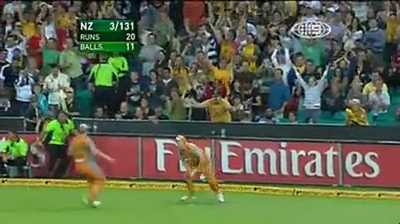 amazing catch cricket