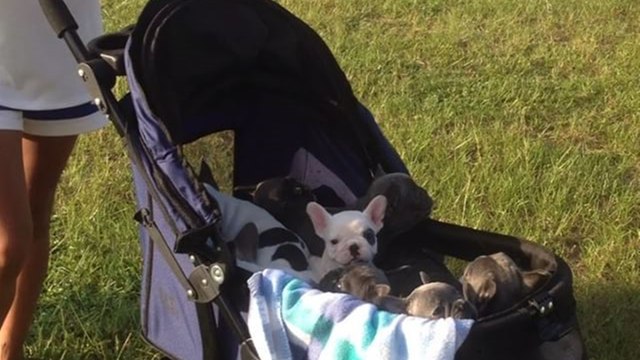 ''Where do you see yourself in 10 years?''