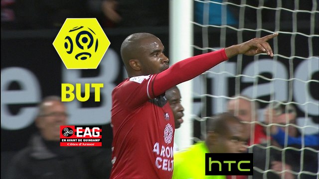 But Sloan PRIVAT (32ème) / EA Guingamp - LOSC - (1-0) - (EAG-LOSC) / 2016-17