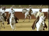 Caballos andaluces