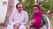 Watch Bulbulay Episode 423 on Ary Digital in High Quality 16th October 2016