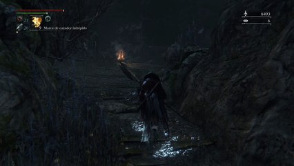 Let's cook a big pig - bloodborne lol