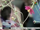 Mujeres costarricenses luchan por su derecho a la alimentación