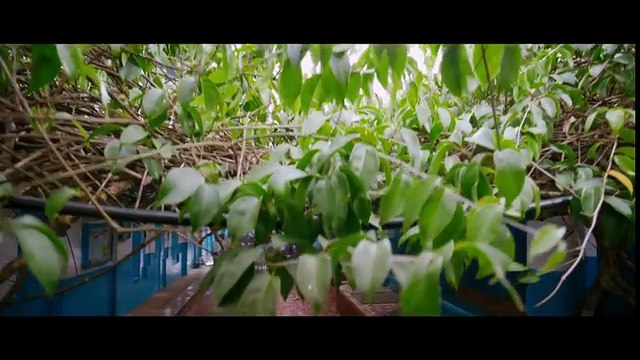 Poovithalai Njaan Official Video Song HD _ Film Thoppil Joppan _ Mammootty _ Malayalam Song
