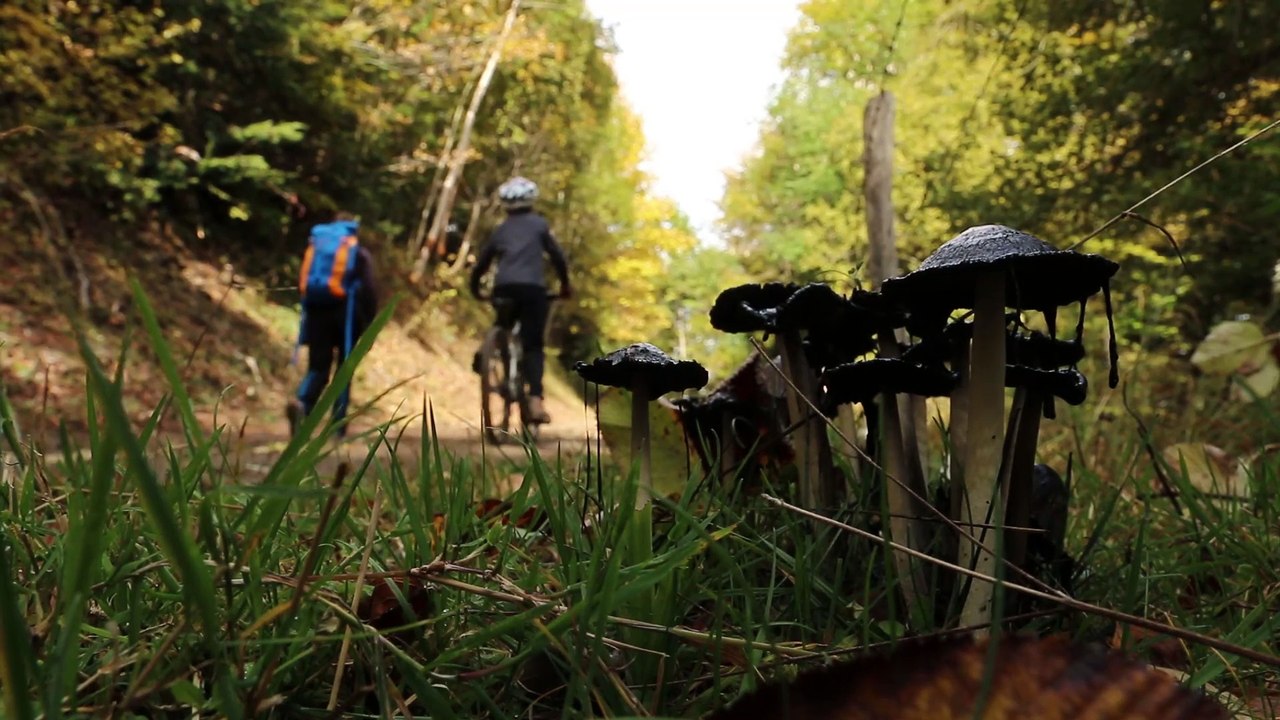Galoppaz en VTT et en rando