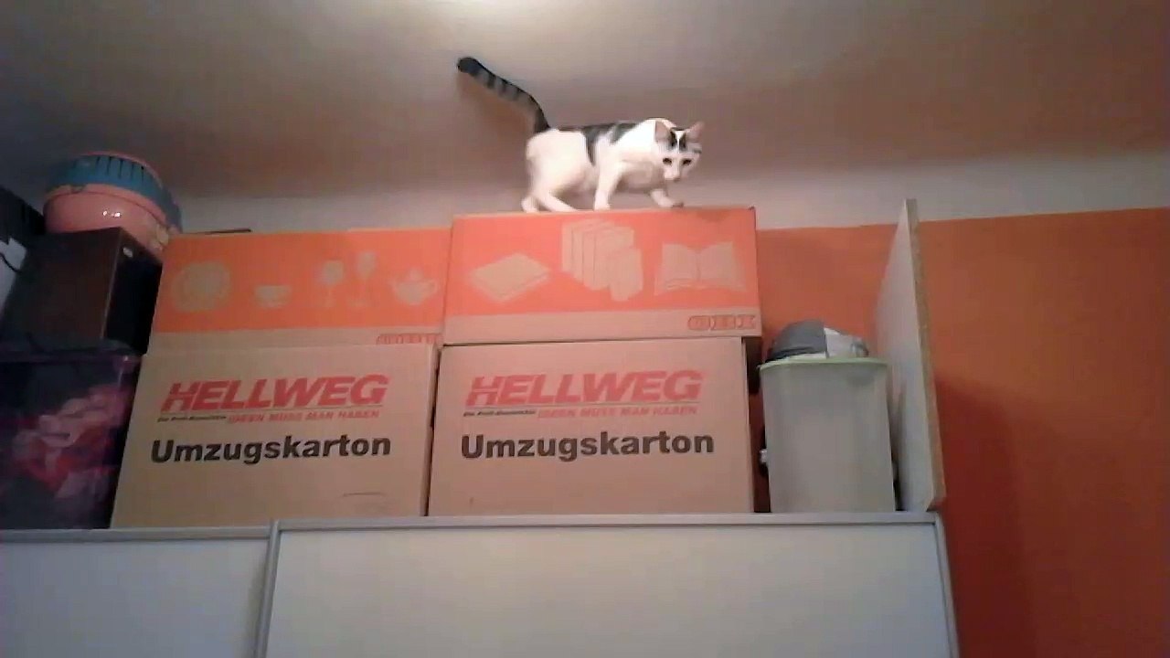 Vinzent am 16.10.2016