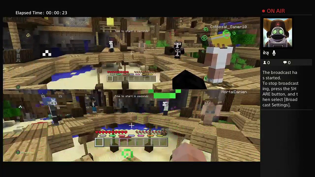 Minecraft (2)