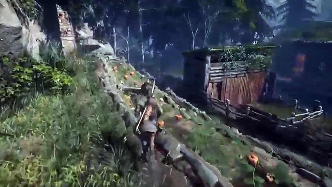 Tomb raider (3)