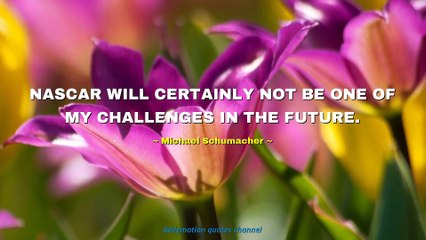 Michael Schumacher Quotes #2