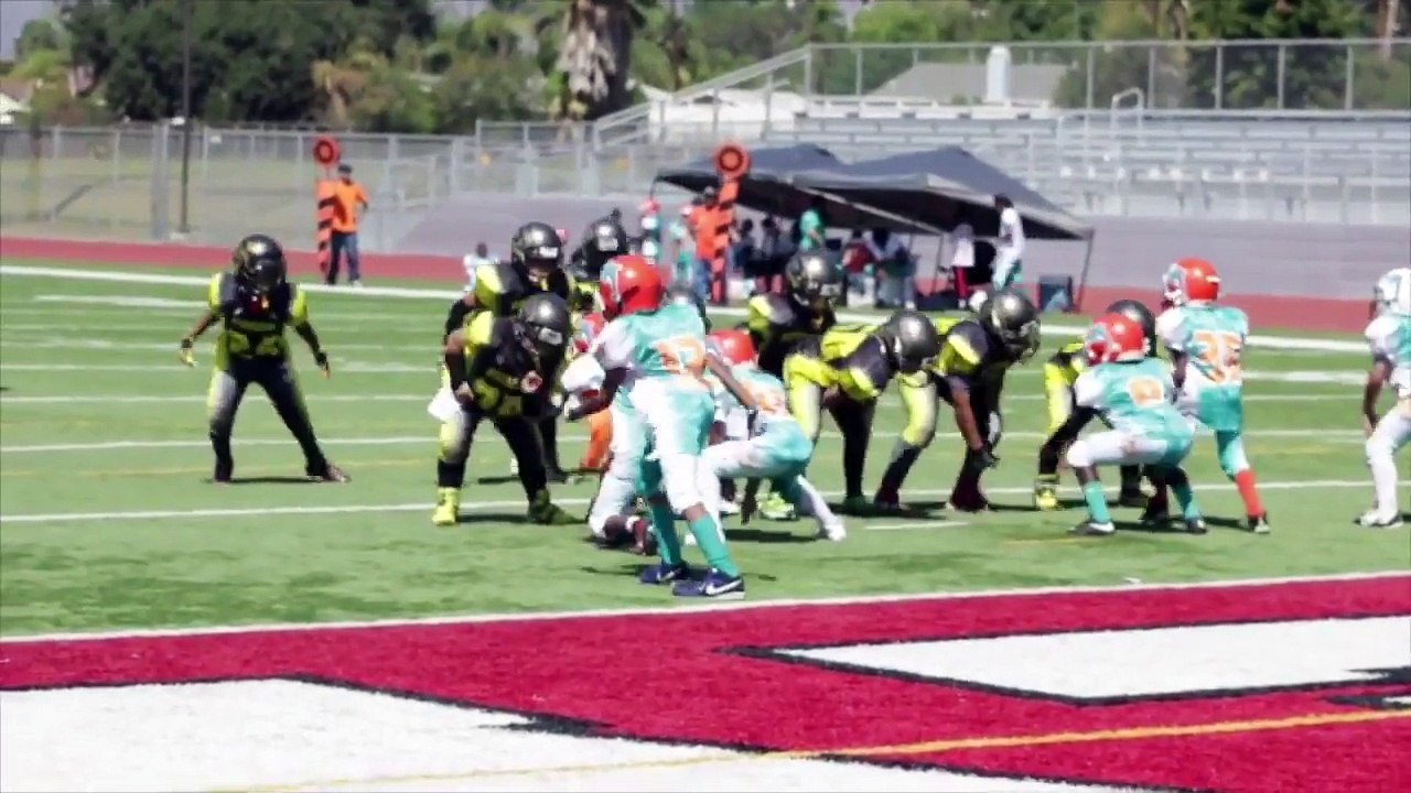 Snoop dogg football league
