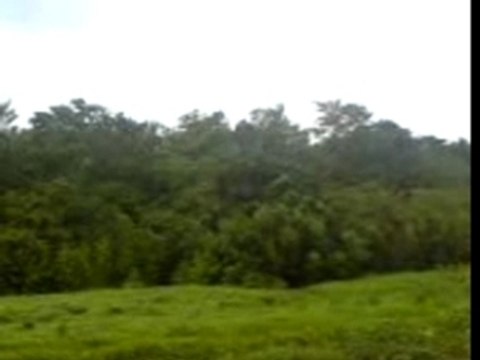 LE DEBUT DES EFFETS DE L'OURAGAN DEAN EN GUADELOUPE