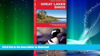 FAVORITE BOOK  Great Lakes Birds: A Folding Pocket Guide to Familiar Species (Pocket Naturalist