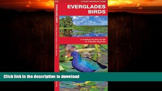 FAVORITE BOOK  Everglades Birds: A Folding Pocket Guide to Familiar Species (Pocket Naturalist
