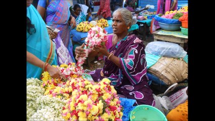 Pêle-mêle d'un week end en Inde
