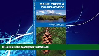 FAVORITE BOOK  Maine Trees   Wildflowers: A Folding Pocket Guide to Familiar Species (Pocket