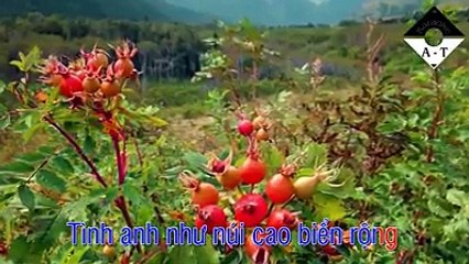 Karaoke Lại Nhớ Người Yêu - Đan Nguyên