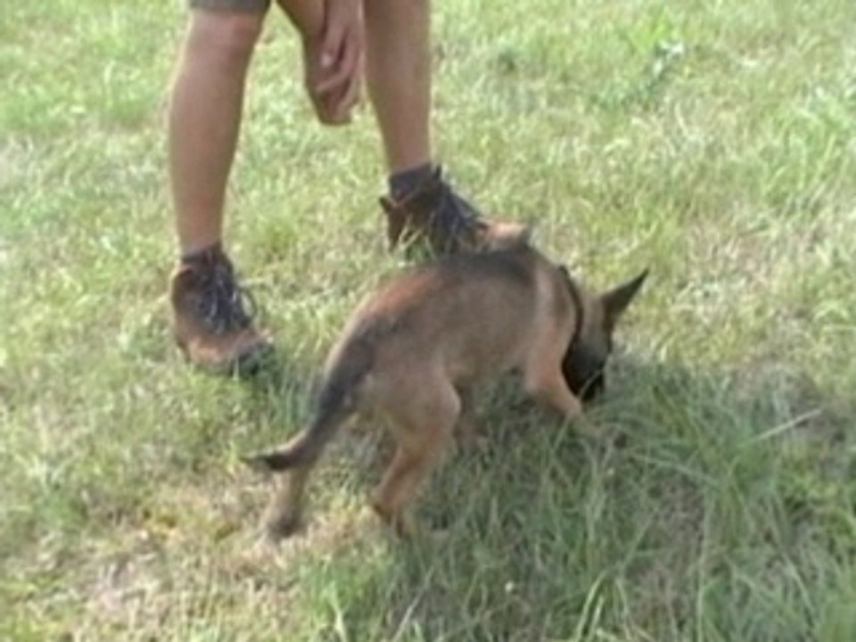 Be Aware A-OGGY Fährte