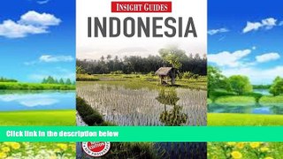 Books to Read  Indonesia (Insight Guides)  Full Ebooks Best Seller