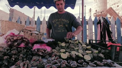 Moga Festival  Day 1