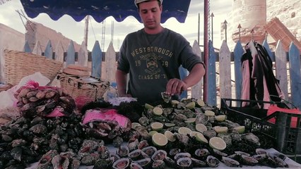 Moga Festival-Day 1 Unlimited FUN-2016-YouTube