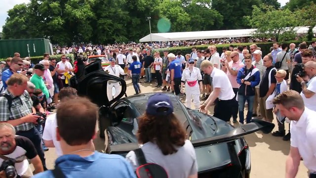 McLaren P1 LM road legal hypercar at Goodwood Festival of Speed 2016 [Lovely Sounds]