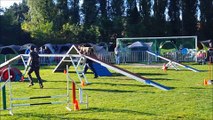 Concours Agility - Rieulay
