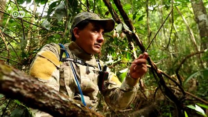 Putting a pricetag on conservation | Global Ideas