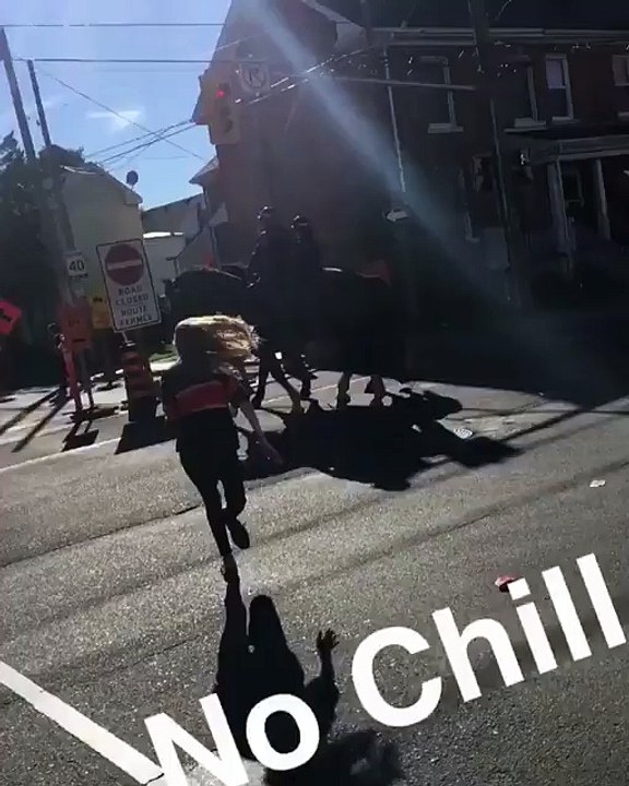 Ivre, elle veut taper un cheval policier et se retrouve les 4 fers en l'air