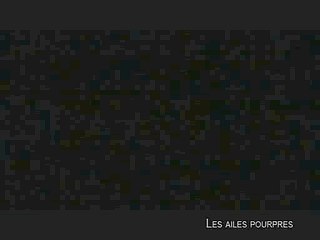 LES AILES POURPRES : LE MYSTÈRE DES FLAMANTS - Bande-annonce