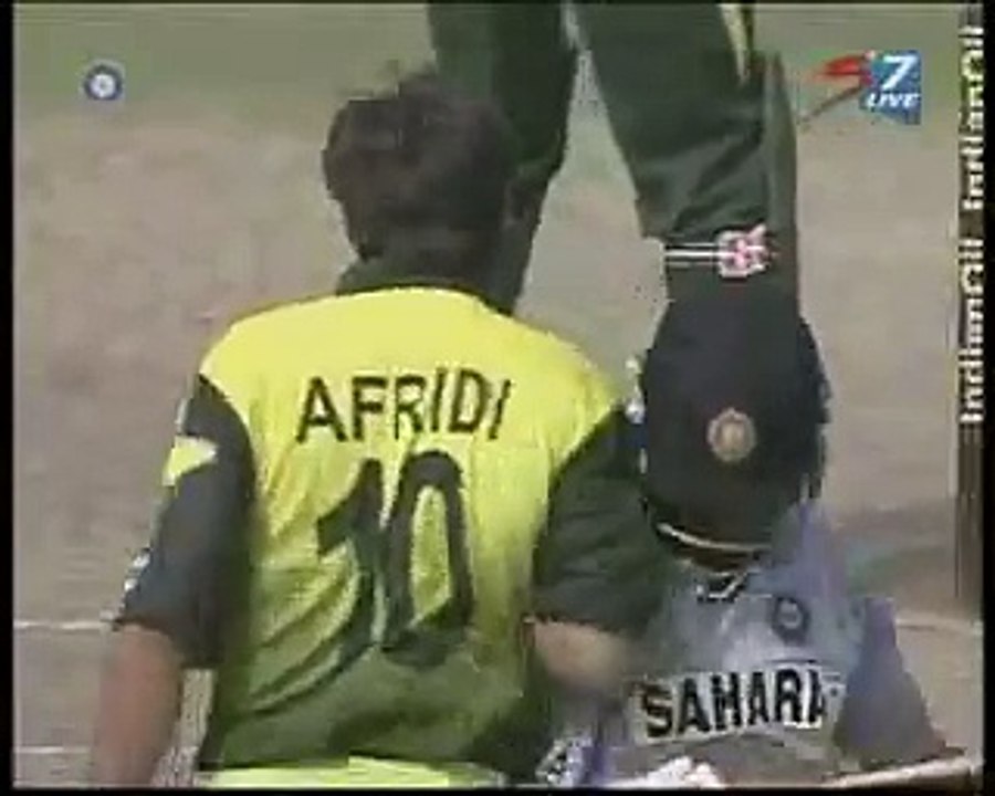 Cricket Fight!!!