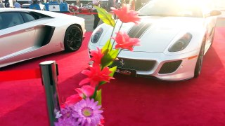 World Most Expensive Cars Show 2013 at Dubai Festival City