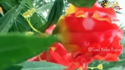 vanakkam Solli Vanangukirom - Official Video Song | வணக்கம் சொல்லி வணங்குகிறோம் | Maaveerar songs