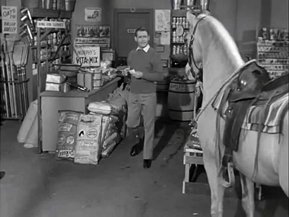 Mister Ed S3 | Horse Talk