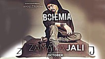 Aaj Kal Zamana Jali Video Song (OFFICIAL) Bohemia  Skull & Bones - YouTube