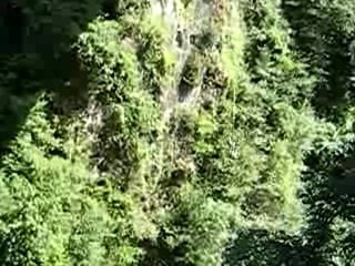 saut nini pont napoleon