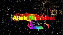 Aurat Namaz Partay Hovay Allah Ko Pyare Ho Gae Islam And Muslim Belief New 2016
