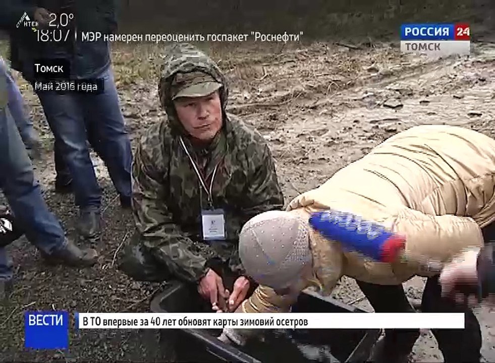 ОНФ: В Томской области составят карту зимовальных ям осетровых