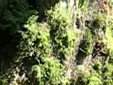 saut philippe pont napoleon